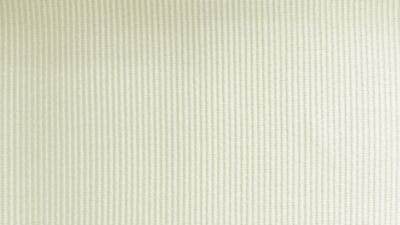 VIZIR