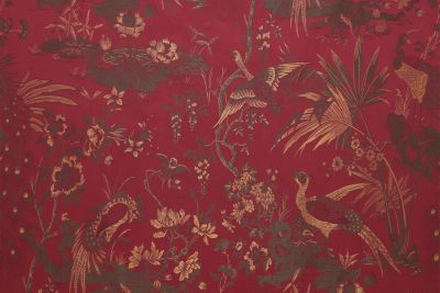 LA PARADE DES OISEAUX