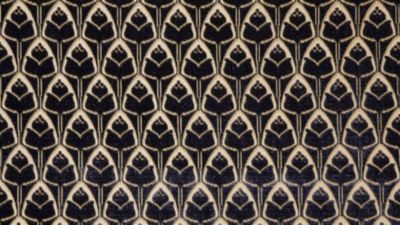 TULIPES