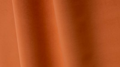 PIGMENT