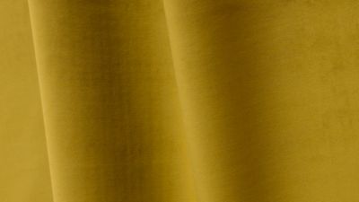 PIGMENT
