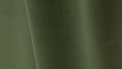PIGMENT