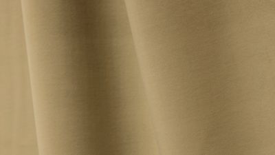 PIGMENT