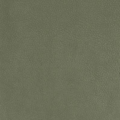 GEORGIA SUEDE