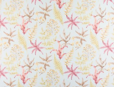 WETHERSFIELD FERN