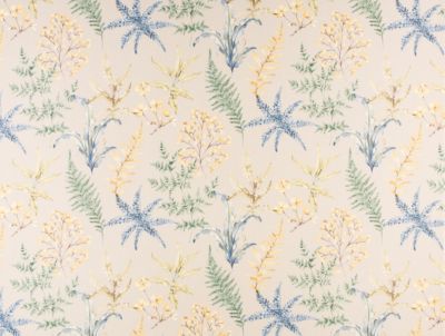WETHERSFIELD FERN