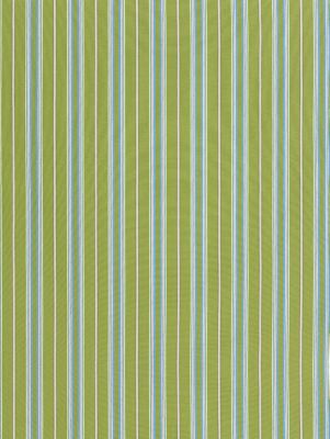 CHARTER STRIPE