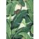 HINSON PALM - COTTON PRINT thumbnail