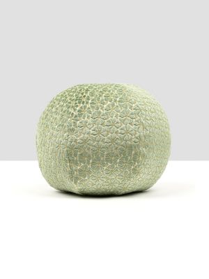 PETAL VELVET PILLOW