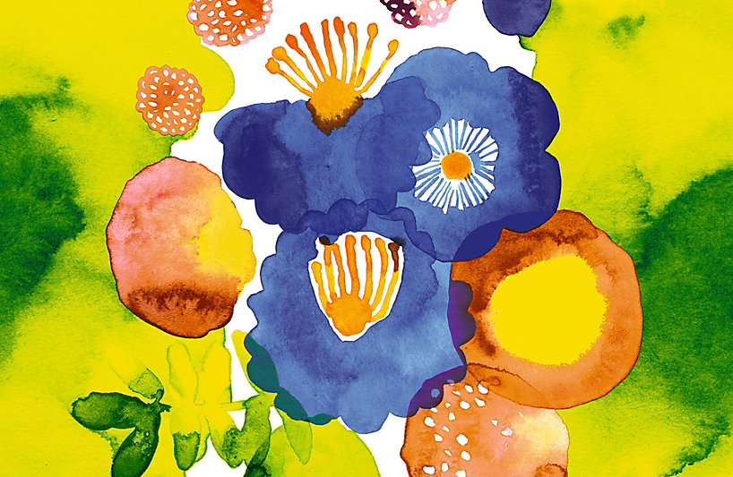 Marimekko - Scalamandré Marimekko - Scalamandré