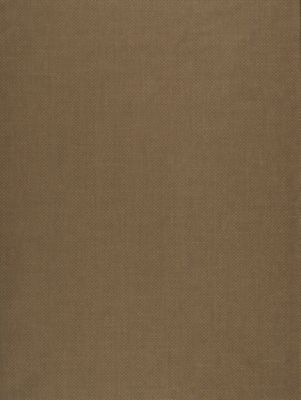 SYNCOPATED STRIE