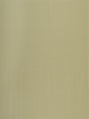 SYNCOPATED STRIE