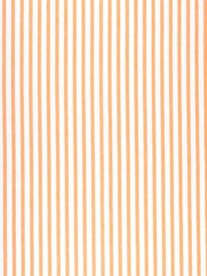 MASCOT STRIPE