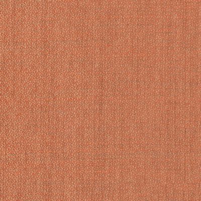 DELGADO WOOL SHEER