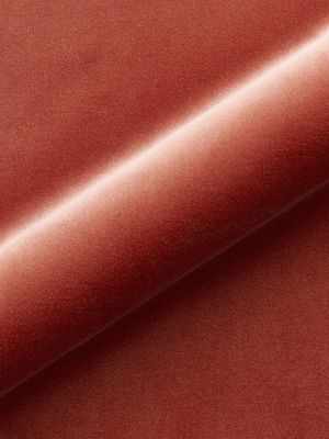 TORINO VELVET