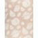 SHEER SHELLS thumbnail