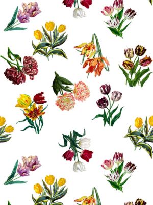 ETUDES DE FLEURS