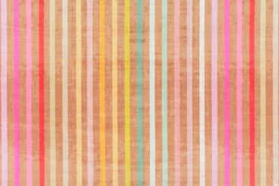 GRAND STRIPE PRINTED VELVET