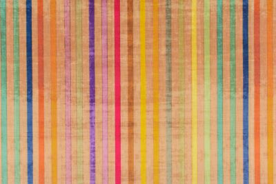 GRAND STRIPE PRINTED VELVET