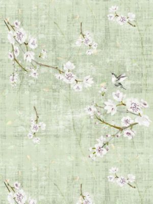 BLOSSOM FANTASIA - SHEER