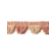 FRANGE TORSE SCALLOPED FRINGE thumbnail