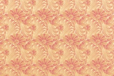DAMASK RAFAEL