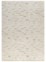 Ivory / Cream