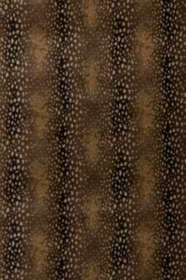 Antilocarpa  Stark