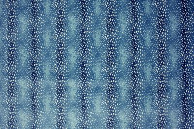 ANTILOCARPA - AZURE
