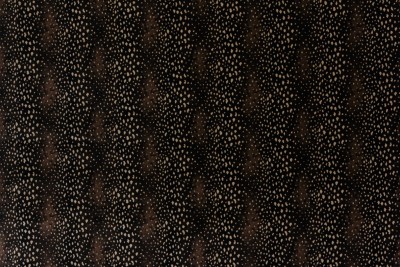 ANTILOCARPA