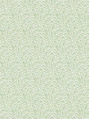BANDBOX PRINT