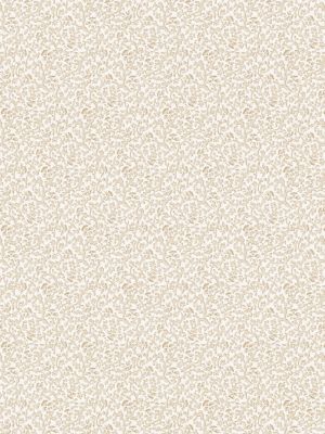 BANDBOX PRINT