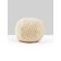 PARLOR VELVET PILLOW thumbnail