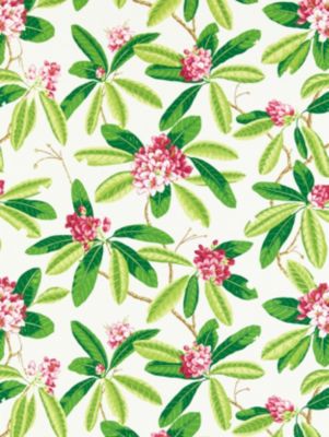 RHODODENDRON - OUTDOOR