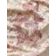 DRAGON TABLEAU thumbnail