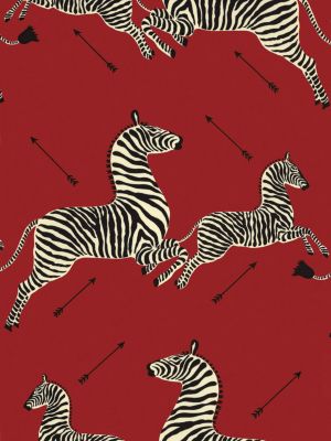 ZEBRAS - OUTDOOR