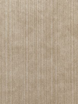 STRIE VELVET