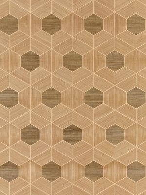 HIVE - SISAL
