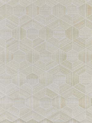 HIVE - ABACA