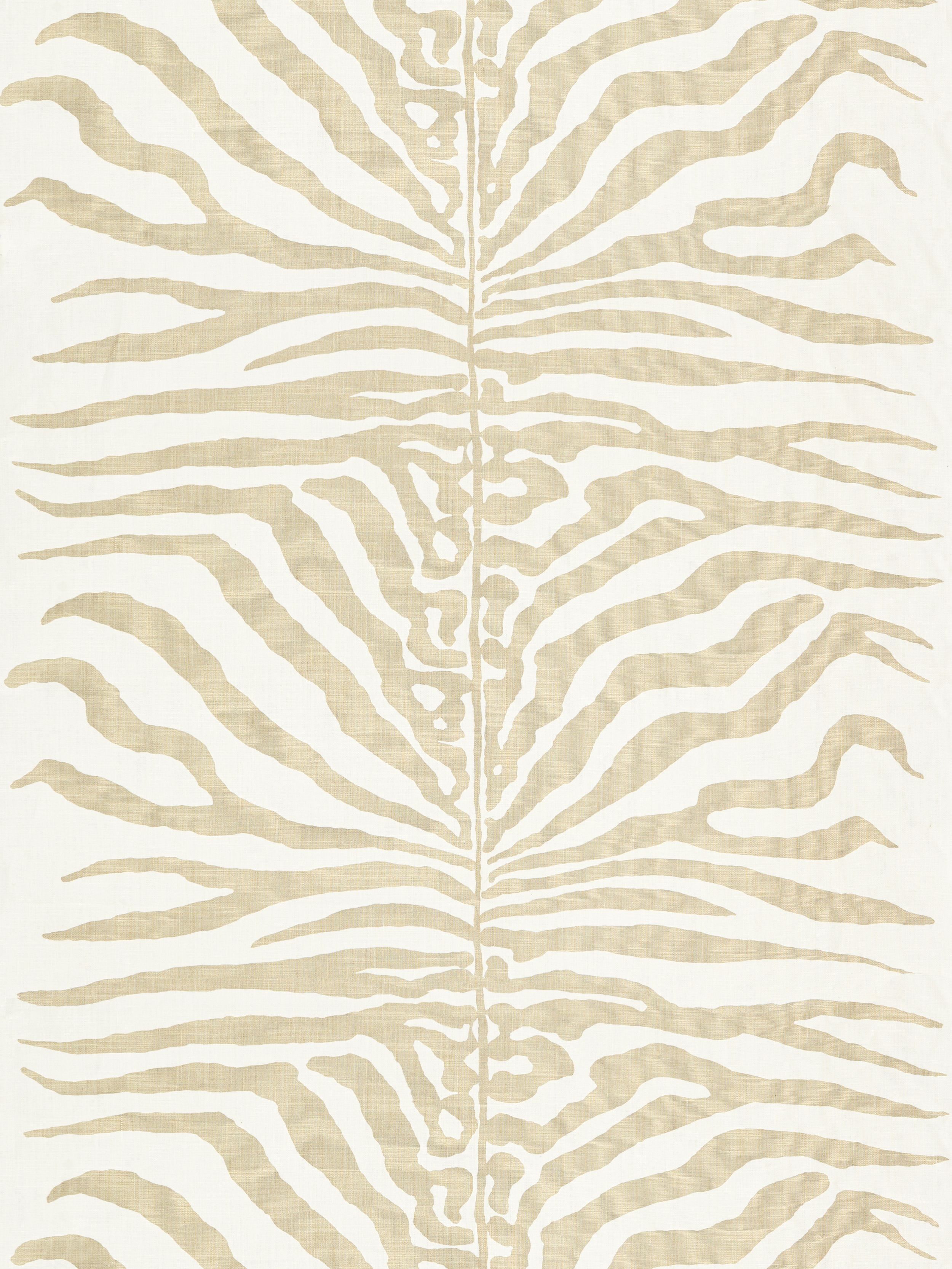 ZEBRA SAHARA
