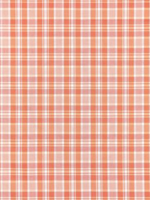 PRESTON COTTON PLAID