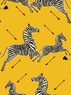 ZEBRAS - OUTDOOR