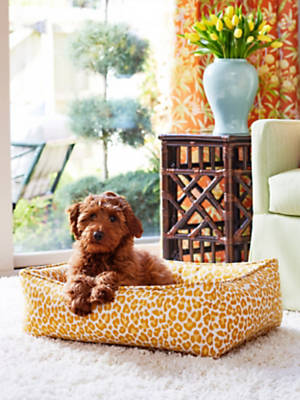 BACKYARD BENGAL SMALL DOG BED