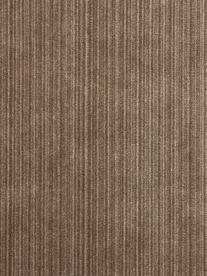 STRIE VELVET