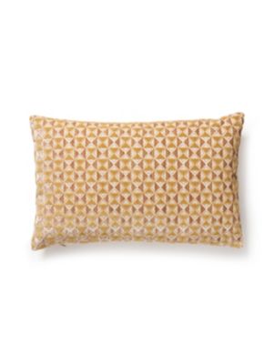 PARLOR VELVET PILLOW