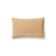 PARLOR VELVET PILLOW thumbnail