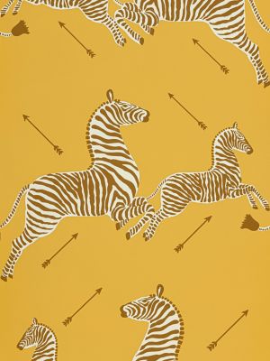 ZEBRAS - VINYL
