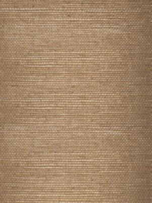 TAJ SISAL - GROUND