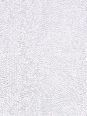 RAINDROP