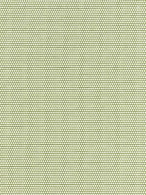 CORSICA WEAVE